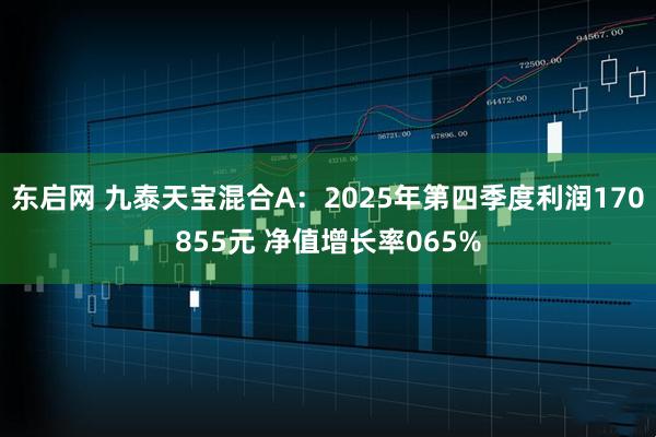 东启网 九泰天宝混合A：2025年第四季度利润170855元 净值增长率065%